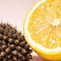 Liposomal Glutathione Strips